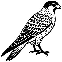 Kestrel vector silhouette 