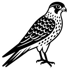 Kestrel vector silhouette 