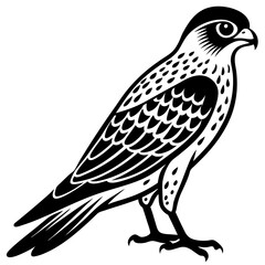 Kestrel vector silhouette 