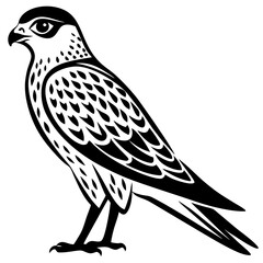 Kestrel vector silhouette 