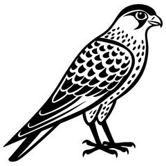 Kestrel vector silhouette 