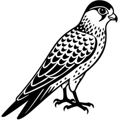 Kestrel vector silhouette 