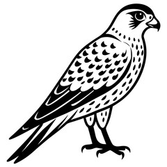 Kestrel vector silhouette 