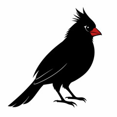 Cardinal silhouette on white background