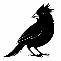 Cardinal silhouette on white background