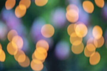 Warm, mysterious blur of the background. Beautiful Bokeh light of green leaves tree in the morning, Flare light of nature for create your text, background of green nature light