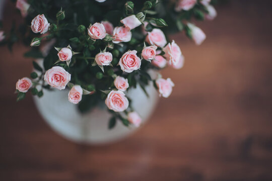 Bouquet of pink roses on a dark background. Pink roses. close-up bouquets of roses in a flower market. Floral exhibition designer bouquets of roses. Floral gifts to celebrate