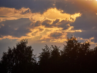 Evening landscape. Sunset sun in the clouds and dark silhouette of the forest