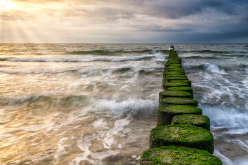 wilde Ostsee