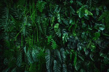 lush green plant with leaves and vines