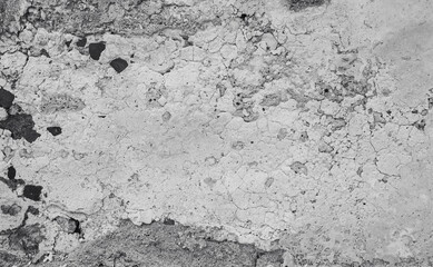 Weathered Concrete Texture Detailed Grayscale Shot