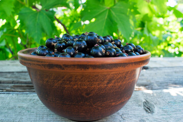 Ribes nigrum. black currant plate. berries in a clay pot on a wooden table. close-up. ripe, sweet berry. vitamins, diet. garden harvest, farming