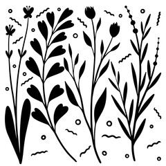 Wildflower Vector Pack 
