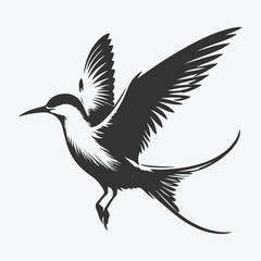 Obraz premium Majestic Tern Silhouette Soaring Across the Skywhite background
