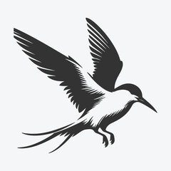 Majestic Tern Silhouette Soaring Across the Skywhite background