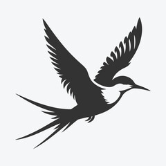 Majestic Tern Silhouette Soaring Across the Skywhite background