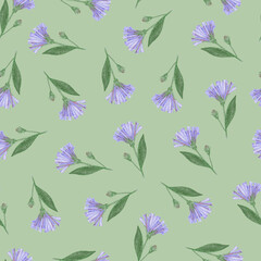 Simple Cornflower Floral Seamless Pattern on a Light Green Background. Hand Drawn Simple Cornflower Digital Paper. Wild Meadow Flowers Drawn by Colored Pencils.