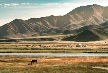 Lone horse and herds of livestock pasturing on the grassland in front of yurts in Bayanbulak...