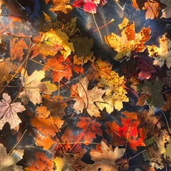 Sunlight filtering through vibrant autumn leaves, casting intricate patterns of light and shadow