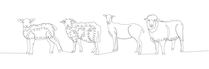 sheep set, ram, livestock one line art. Continuous line drawing of farm, nature, agriculture, farm animals, rural life, ranch.