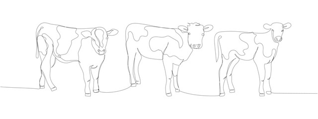 calf set, bull, livestock, cattle, one line art. Continuous line drawing of farm, nature, agriculture, farm animals, rural life, ranch. © sahs94