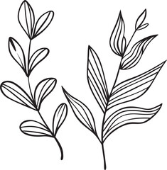 Hand drawn doodle branch with leaves isolated on white background.