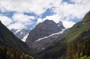 Fototapeta premium Beautiful natural landscape with trees and mountains.