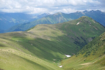 Naklejka premium View of the majestic Caucasus mountains. In the foreground is a flock of sheep. Arkhyz. Travel and recreation.