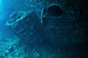 scuba diver and reef
