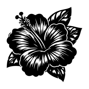 recommend clip art: A beautiful bold and clean hibiscus flower