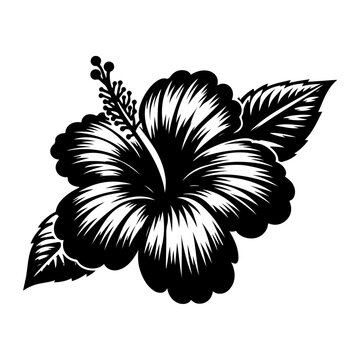 recommend clip art: A beautiful bold and clean hibiscus flower