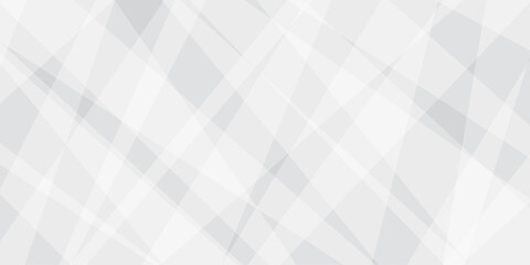 Fototapeta premium Abstract background with white and gray and geometric style with simple lines and corners with triangles shape design. Banner web template abstract white square shape with futuristic shape design