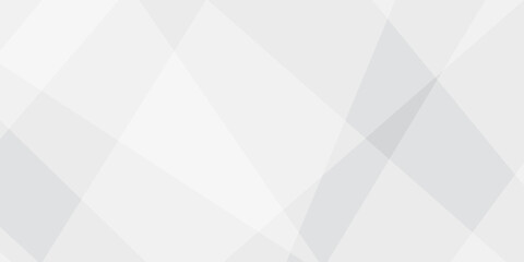 Obraz premium Abstract background with white and gray and geometric style with simple lines and corners with triangles shape design. Banner web template abstract white square shape with futuristic shape design