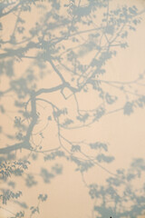 The projection of trees on the wall, the abstract, hazy pattern.