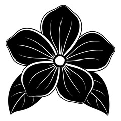 black and white flower illustration