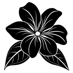 black and white flower illustration