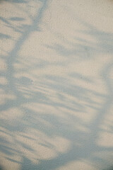 The projection of trees on the wall, the abstract, hazy pattern.