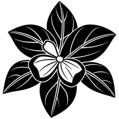 black and white flower illustration