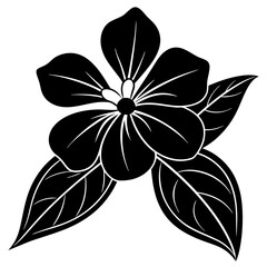 black and white flower illustration