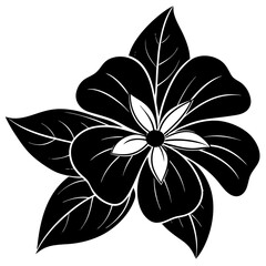 black and white flower illustration