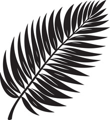 rawan leaf Image, Stock Silhouette, vector black color silhouette
