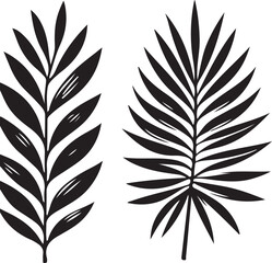 Obraz premium Set of leaves silhouette of beautiful plant, leaves, black color silhouette