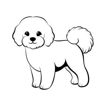 transparent vector illustration, minimalistic line drawing, Bichon Frise dog