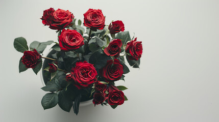 Beautiful roses on white table, Background
