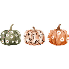 Set of floral autumn decorative pumpkins, watercolor clipart