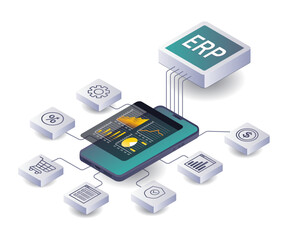 Analyzing ERP Applications for Business Network Development