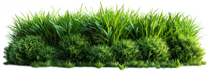 Grass bush cut out, Green grass bush made isolated on transparent background. Generative AI illustration