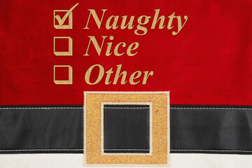 Naughty or Nice or Other checkbox for Christmas on Santa suit