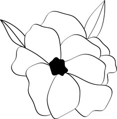 Flower isolated on transparent background. Vector hand drawn flower. Design for logo, wall art, tattoo, branding and packaging. Vector EPS 10