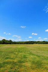 Obraz premium 暑い夏の日の広場の風景18